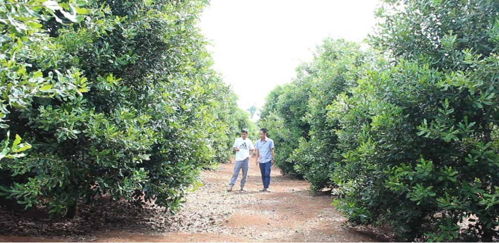 Đắk[-]Nông[-]phấn[-]đấu[-]hằng[-]năm[-]giảm[-]tỷ[-]lệ[-]hộ[-]nghèo[-]từ[-]3%[-]trở[-]lên